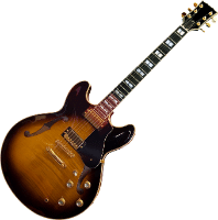 A semi-hollowbody electric guitar.