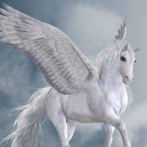 A photo of Pegasus.