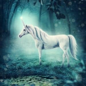 A unicorn standing in the forest.