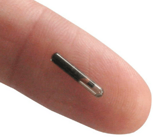 A "SNAGG" microchip