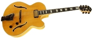 Fender D"Aquisto Elite Archtop guitar