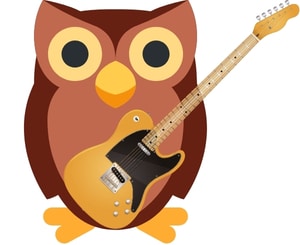 Fingertips Hurt Playing Guitar - An image of an owl playing a Telecaster.