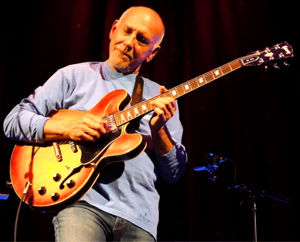 How Many Guitars Do You Really Need - Larry Carlton playing guitar onstage