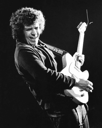 Is A Telecaster Good For Blues - Mike Bloomfield